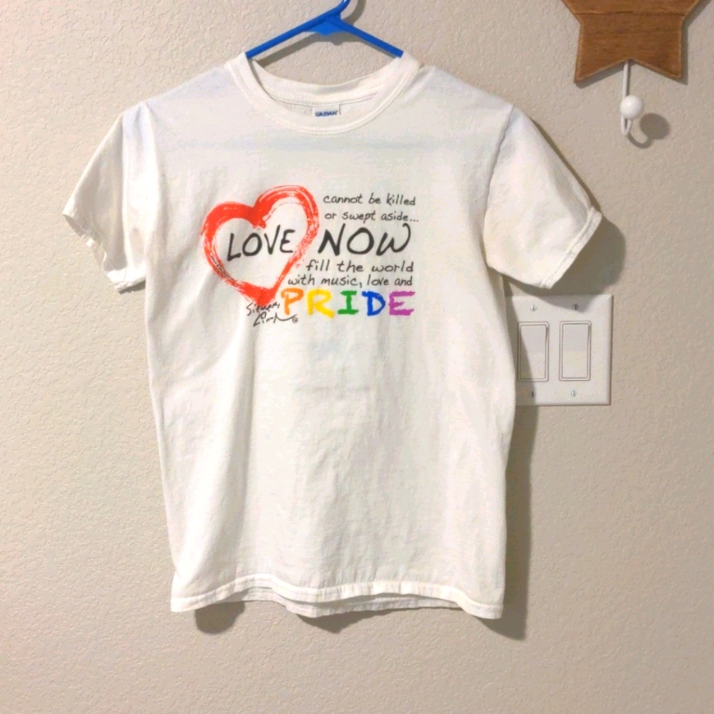 Love is Love is Love PRIDE Shirt